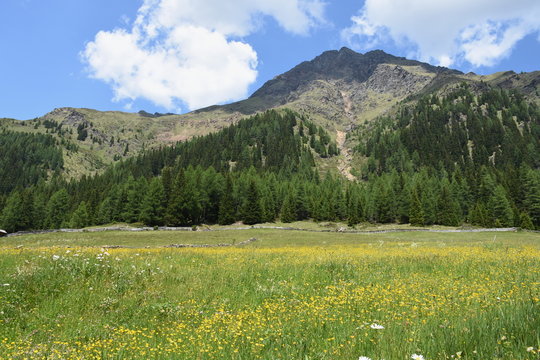 Fototapeta Holzzaun, Steinzaun, Mauer, Pfannspitze, Plattetörl, Steinmauer, Wetter, Berg, Tal, Osttirol, Lienz, Villgraten, Stallertal