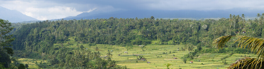 Fototapeta na wymiar A panoramic view of a hill with paddy rice fields divided into terraces, a tropical jungle and a mountain covered with clouds on the background, Karangasem region of Bali, Indonesia, November 2016
