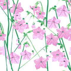 Pink flower in the summer. flower seamless, pattern and background. Vector illustration.