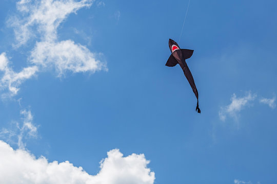 Kites Flying In A Blue Sky. Kites Of Various Shapes.