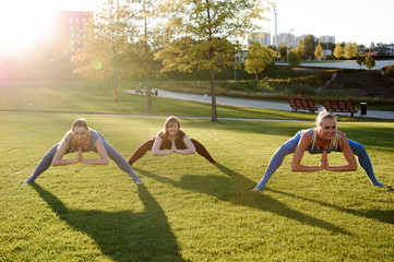 a group of adult women attending yoga outside in the park