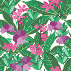 The flower summer with carnation and pink flower . Flower seamless, pattern and background. Vector illustration.