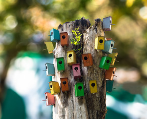 Multicavity bird house. Multicolored birdhouses nailed to the old tree.