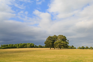 Clouds over a Sussex Landscape