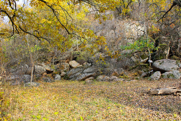 Stones on the grove in the autumn forest