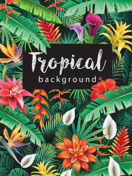 Background from tropical flowers