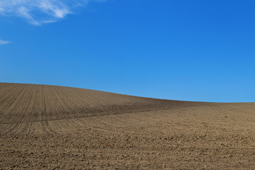 Fototapeta na wymiar Plowed fields, blue sky