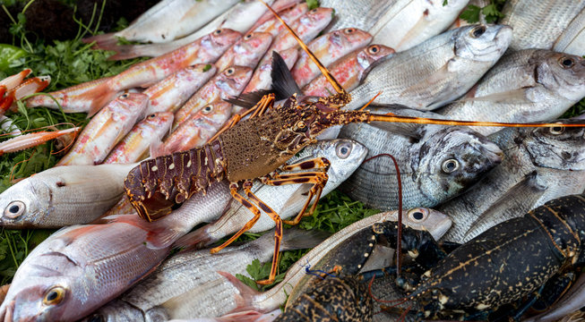 langoustes