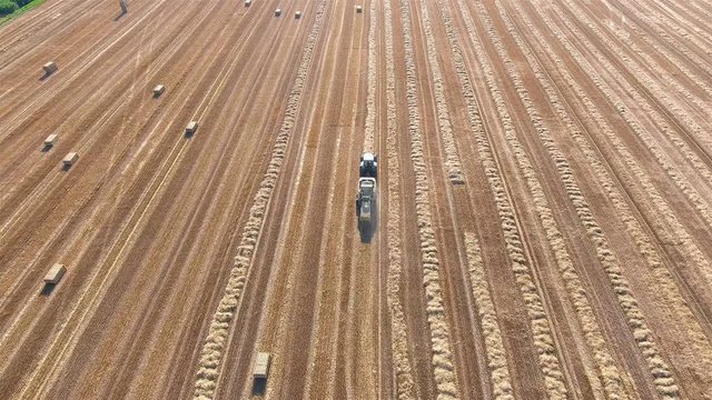 Tractor with baler machine making hay aerial view 4K