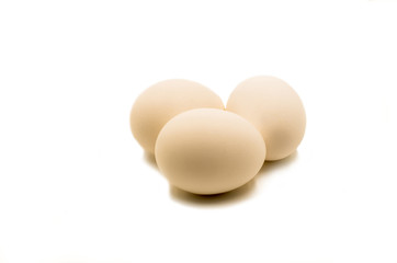 fresh brown eggs