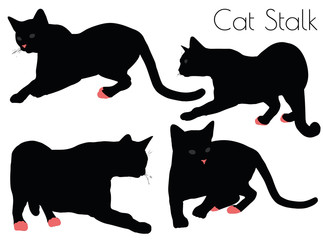 cat silhouette in Stalk Pose