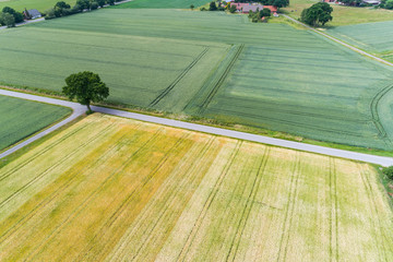 Obraz premium Luftbild vom ländlichen Raum in Niedersachsen, Deutschland
