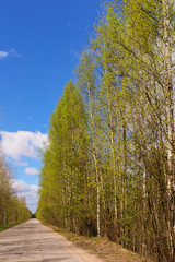 Road on a sunny spring day