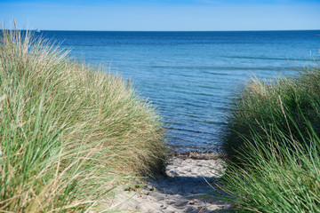 Fototapeta na wymiar Strand auf Insel Fehmarn