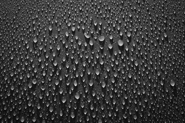 water drops on black background. Macro.