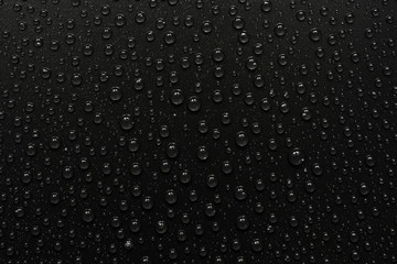 water drops on black background. Macro.
