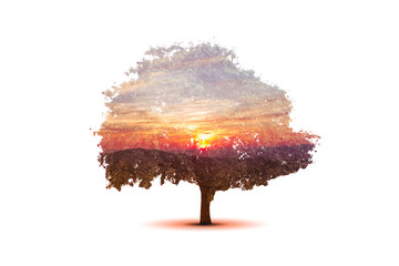 Concept global and recycle of life exposure in sunset mountain background. The concept of world love and clean energy