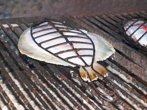 Rodaballo a la parrilla / Grilled turbot