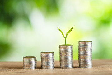Economy, Investment And Saving Concept Coin Money Piles Of Coins Trees on the pile of mone