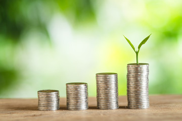 Economy, Investment And Saving Concept Coin Money Piles Of Coins Trees on the pile of mone