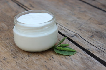 Fototapeta na wymiar Cosmetic cream with grape leaf