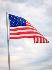 American Flag Waving In Wind (vertical)