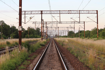 Railway tracks in summer