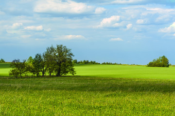 Nature green landscape