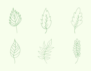 Vector icon of autumn leaves against green background