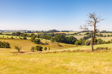 Fototapeta premium Agrar Landschaft im Hochsommer