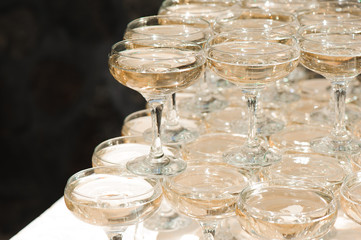 A lot of wine glasses with a cool delicious champagne or white wine at the bar. Alcohol background.
