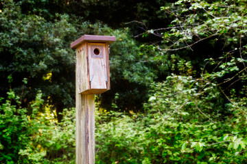 Blue Bird Bird House