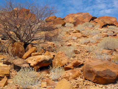 Twyfelfontein, Namibia