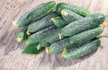 Fresh organic Cucumbers on wooden background