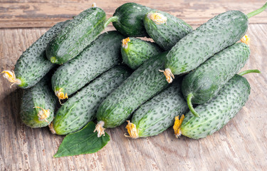 Fresh harvest of cucumbers on wooden background