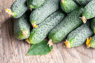 Closeup view of fresh cucumbers on wooden background