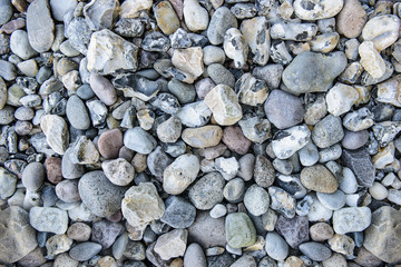 Pebble stones, background. Beach on the Rugen Island.
