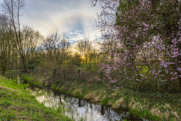Awesome Springtime Sunset at Creek/ Germany
