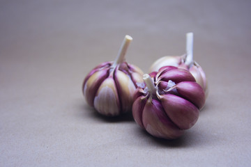 garlic