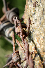 verrosteter Stacheldrahtzaun