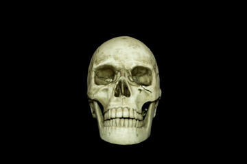 Human skull on isolated black background..