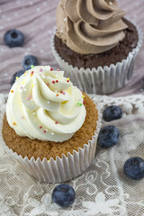 Vanilla and chocolate cupcakes with blueberries on the pink lace