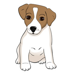 Fototapeta premium Cute Jack Russel terrier puppy. Vector illustration.