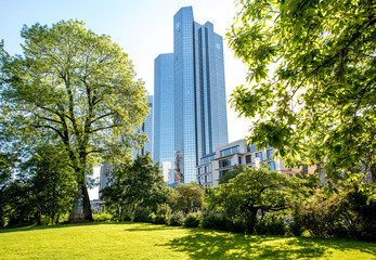 View on the green park and skyscraper in Frankfurt city