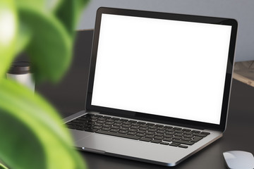 Blank laptop screen, plant