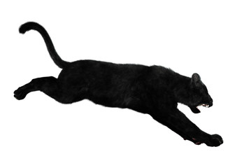 3D Rendering Black Panther on White