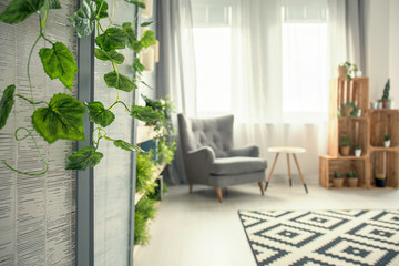View of room