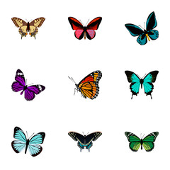Fototapeta na wymiar Realistic Tiger Swallowtail, Lexias, Milkweed And Other Vector Elements. Set Of Butterfly Realistic Symbols Also Includes Swallowtail, Butterfly, Tiger Objects.