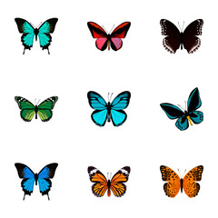 Fototapeta na wymiar Realistic Callicore Cynosura, Common Blue, Danaus Plexippus And Other Vector Elements. Set Of Beauty Realistic Symbols Also Includes Orange, Green, Butterfly Objects.