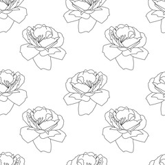 Beautiful black and white seamless pattern with roses. Sketch style monochrome flowers background. Blossom texture.